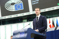The Radical Right and the European Elections