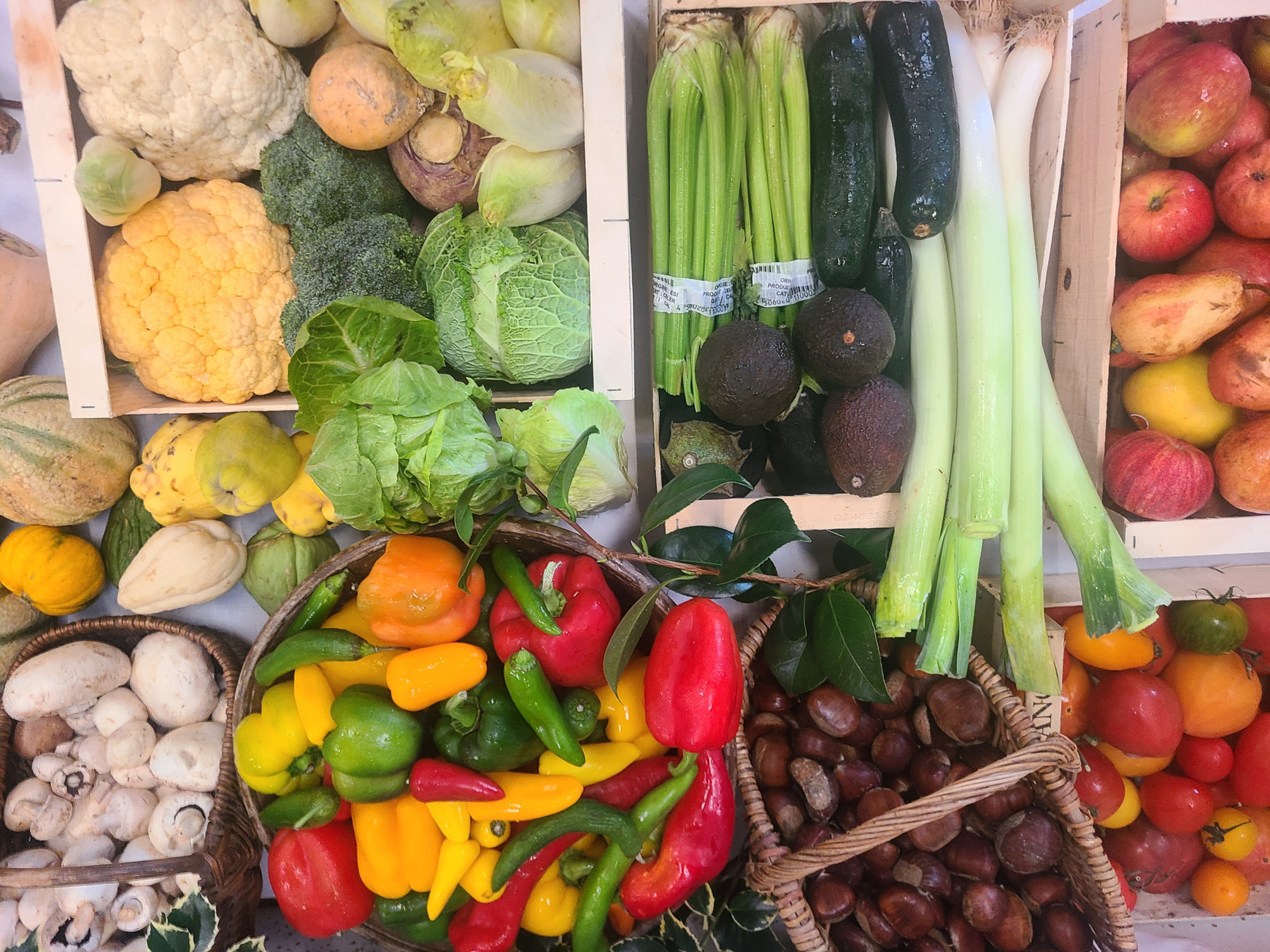 © BA44, Margot Kerlero de Rosbo La Banque Alimentaire fête ses 40 ans