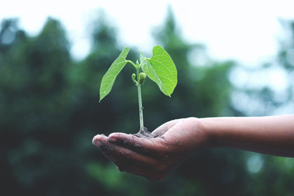 Jeunesse, Europe et climat