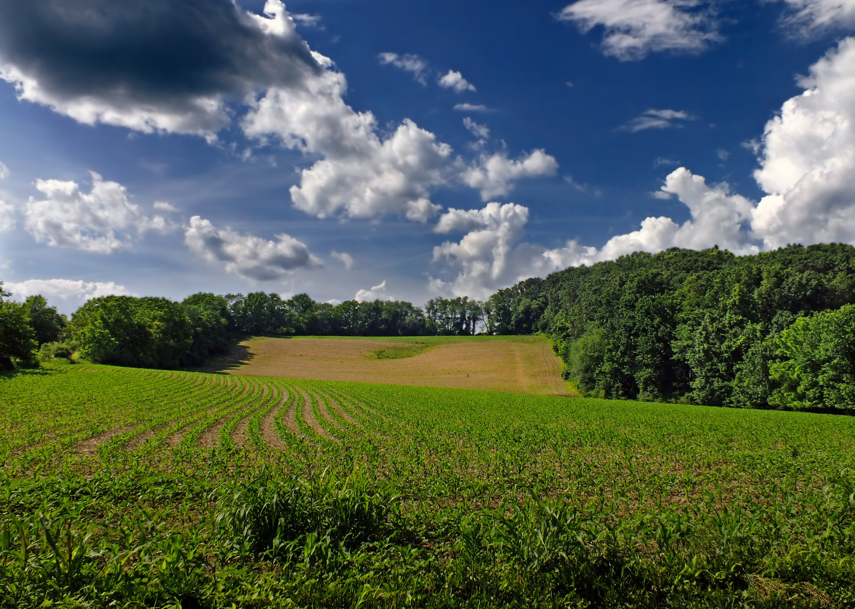 Pour une biodiversité planifiée et associée au service de l'agroécologie