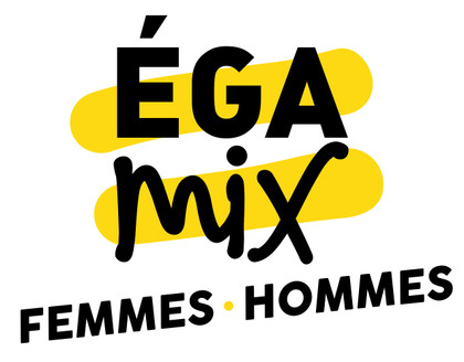 Le projet "EGAMIX" - Eurêka 21