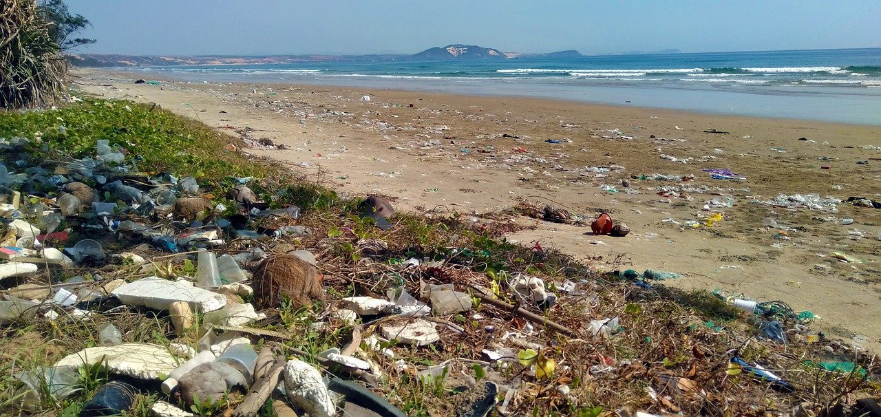 Agir contre la pollution plastique - Fréquence Europe