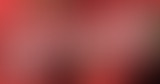 24.06 - La cour de Création  // 20 ans