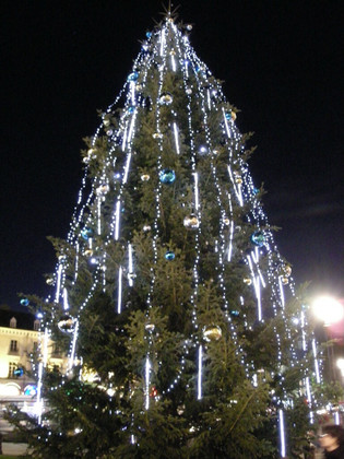 D'où ça vient le sapin de Noël ?