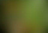 Pièces détachées : Une place pour l'émergence ?
