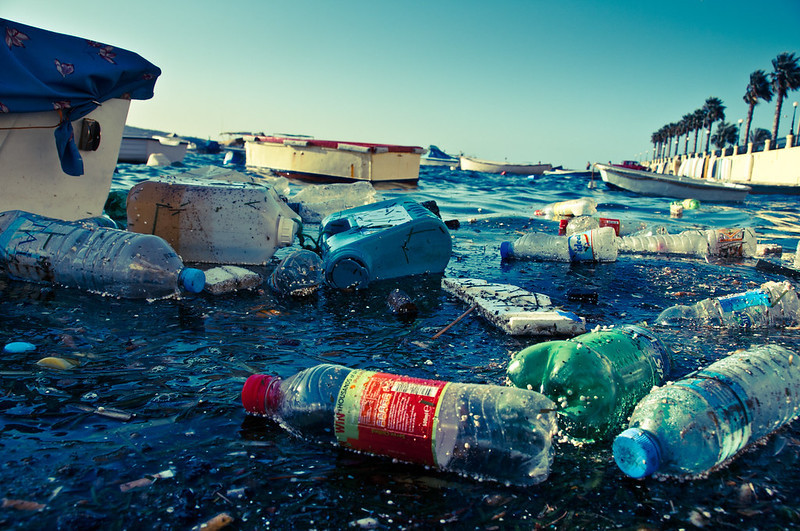 © Alain Bachellier L'Exploration bleue à la traque des microplastiques et leur impact sur la biodiversité marine