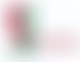 L'oeil à l'écoute : Instants Stanois