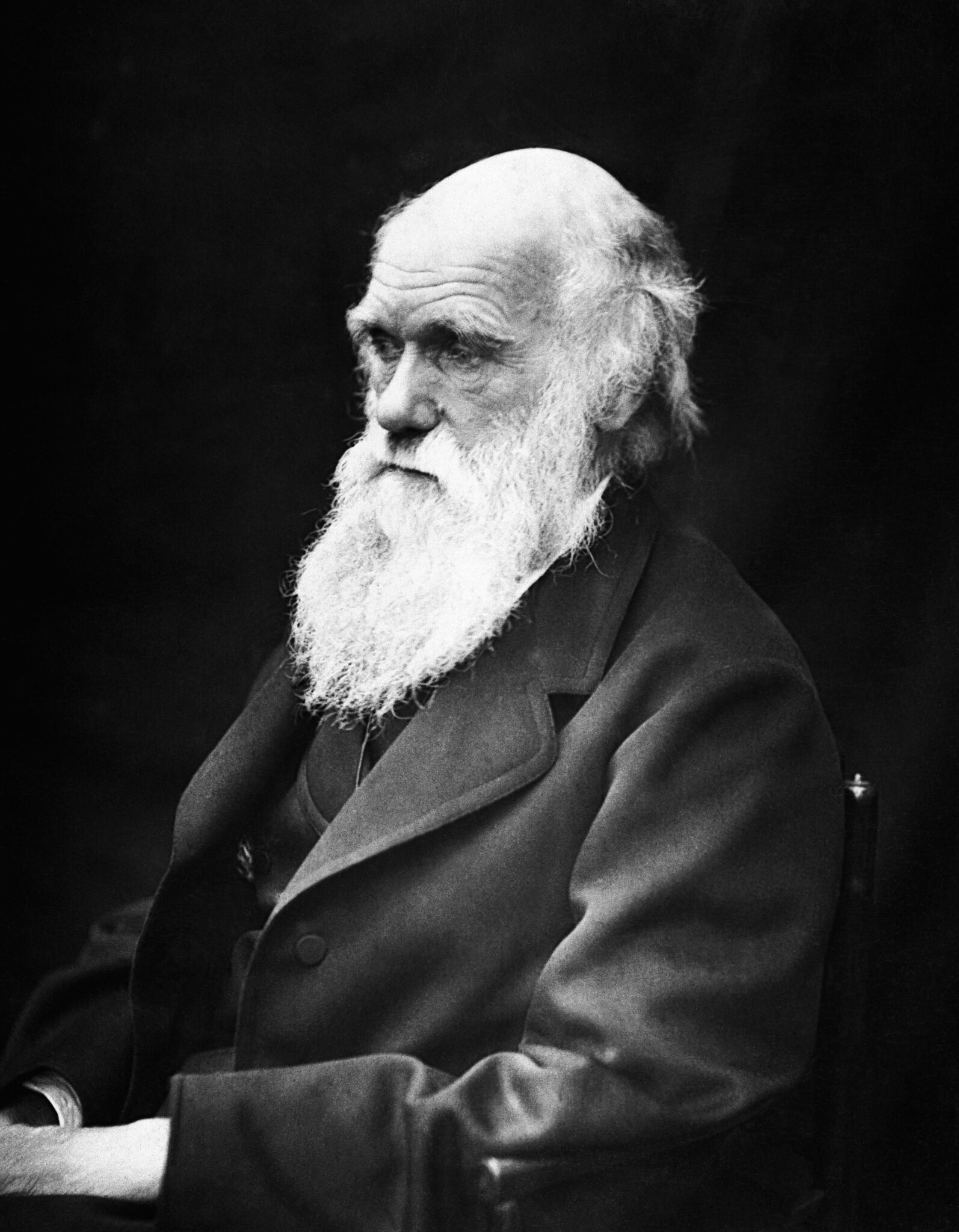 Rakesh.infosys, CC BY-SA 4.0 Charles Darwin - Partie 2