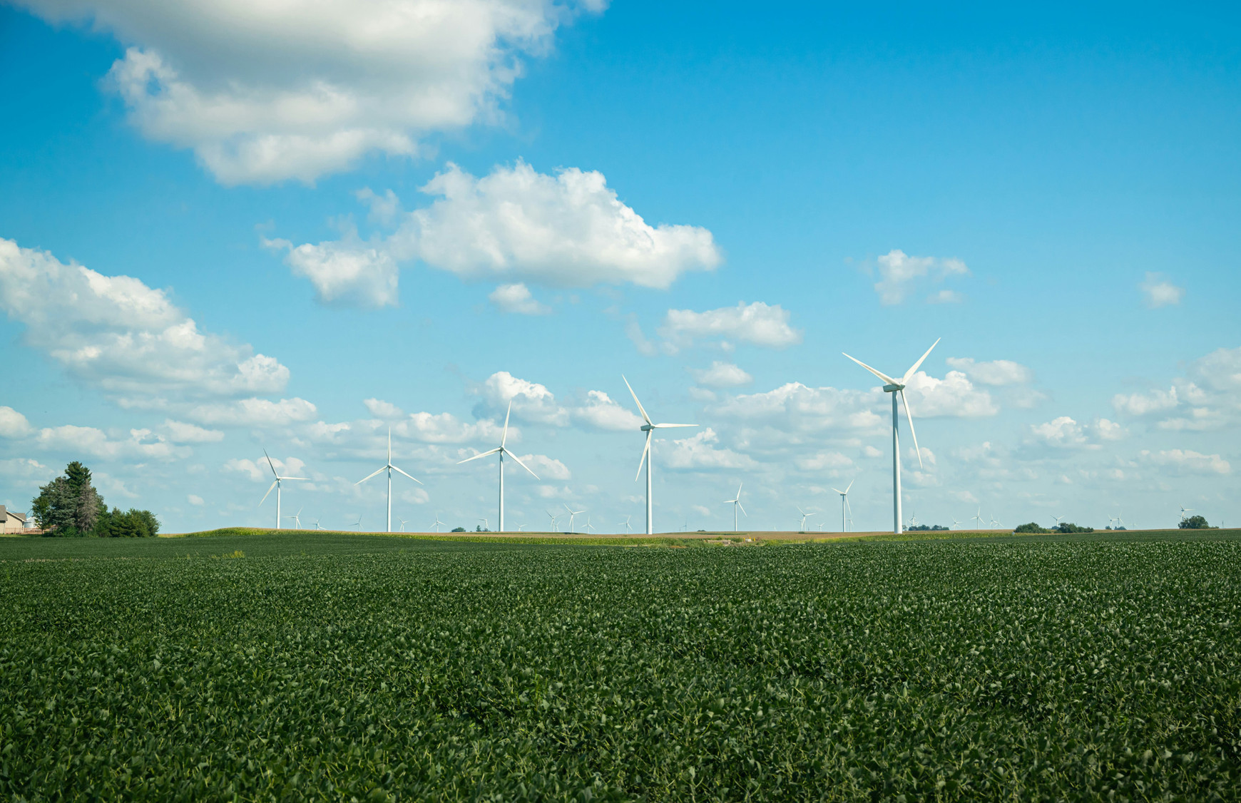 ©  Josh McCausland sur Unsplash L’approche système en agroécologie