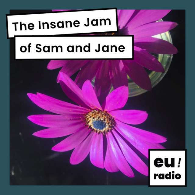 The Insane Jam of Sam and Jane