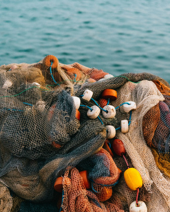 Le fonds pour le soutien de la pêche - Chaima Kharroubi