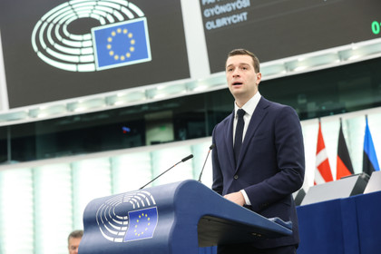 The Radical Right and the European Elections