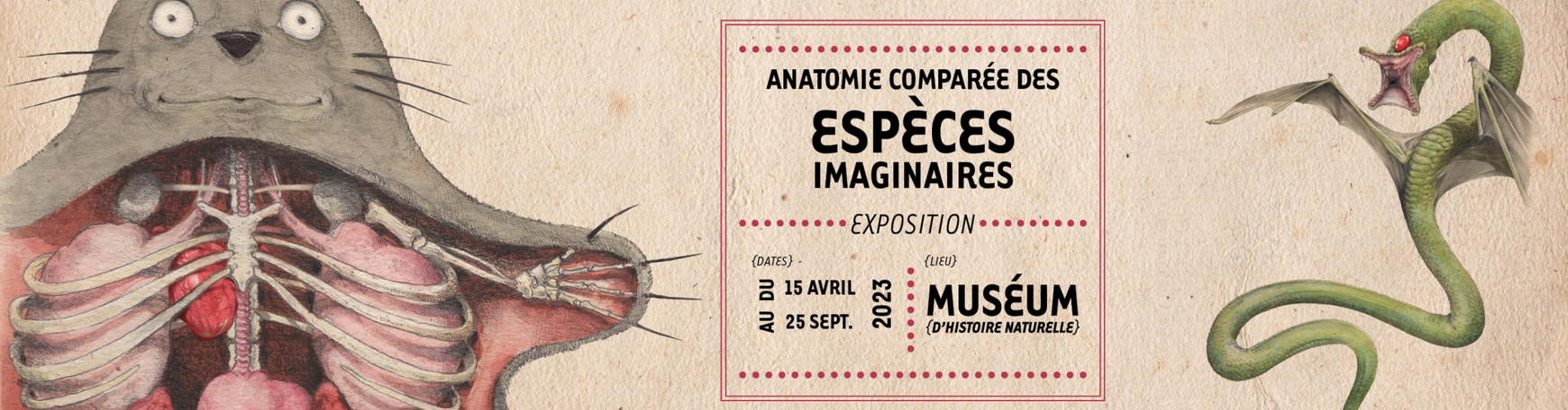 © Musée d'histoire naturelle de Nantes À la découverte de l' "anatomie comparée des espèces imaginaires"
