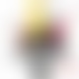Pièces détachées : E-réèl