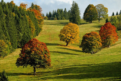 La compensation carbone volontaire - Smart for climate #7