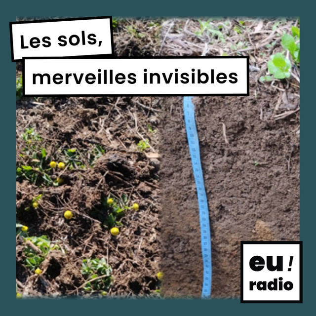 Les sols, merveilles invisibles