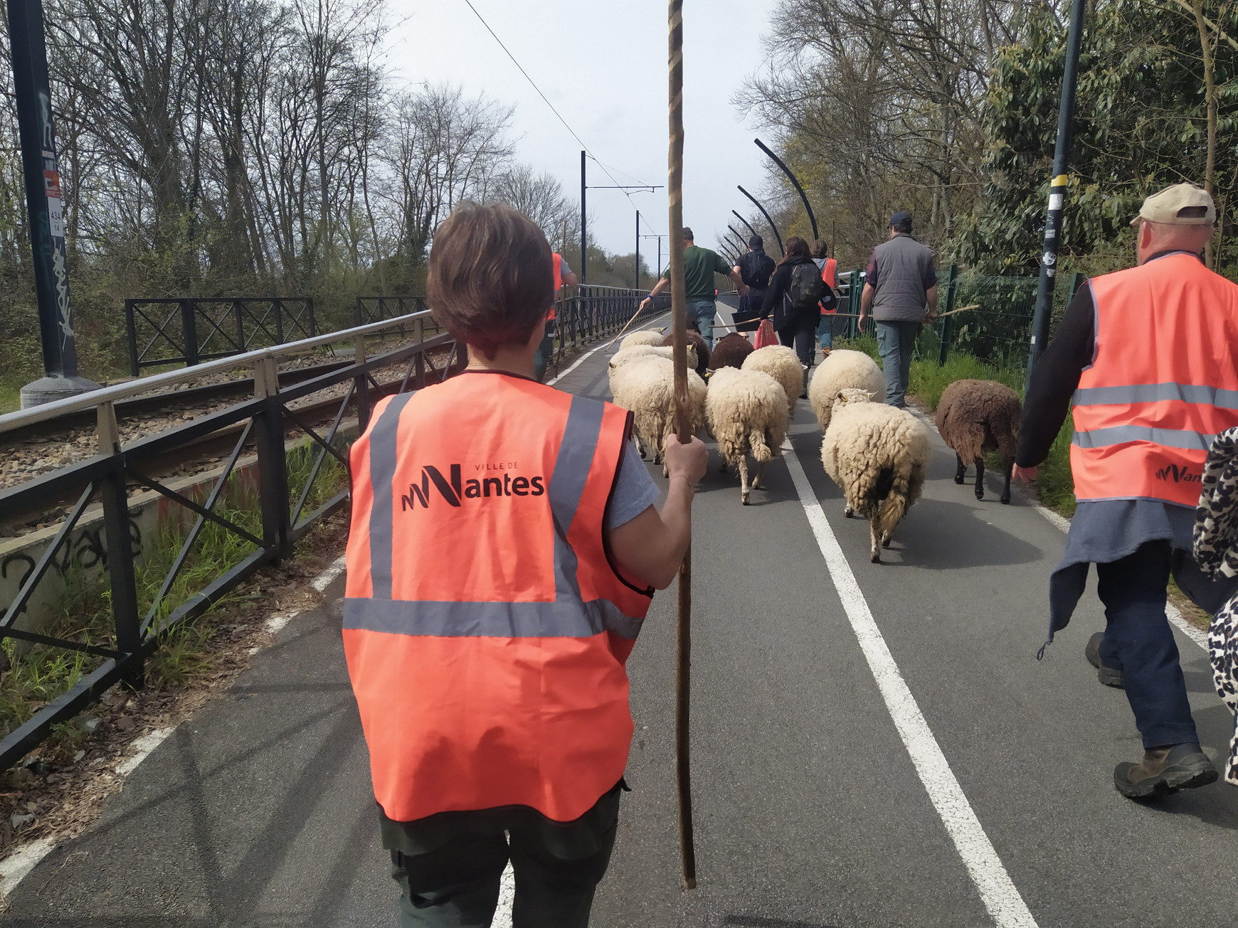 © Pau Mompó Alberola La transhumance arrive à Nantes