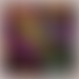 La Ligue Des Albums Incompris (ep.57)
