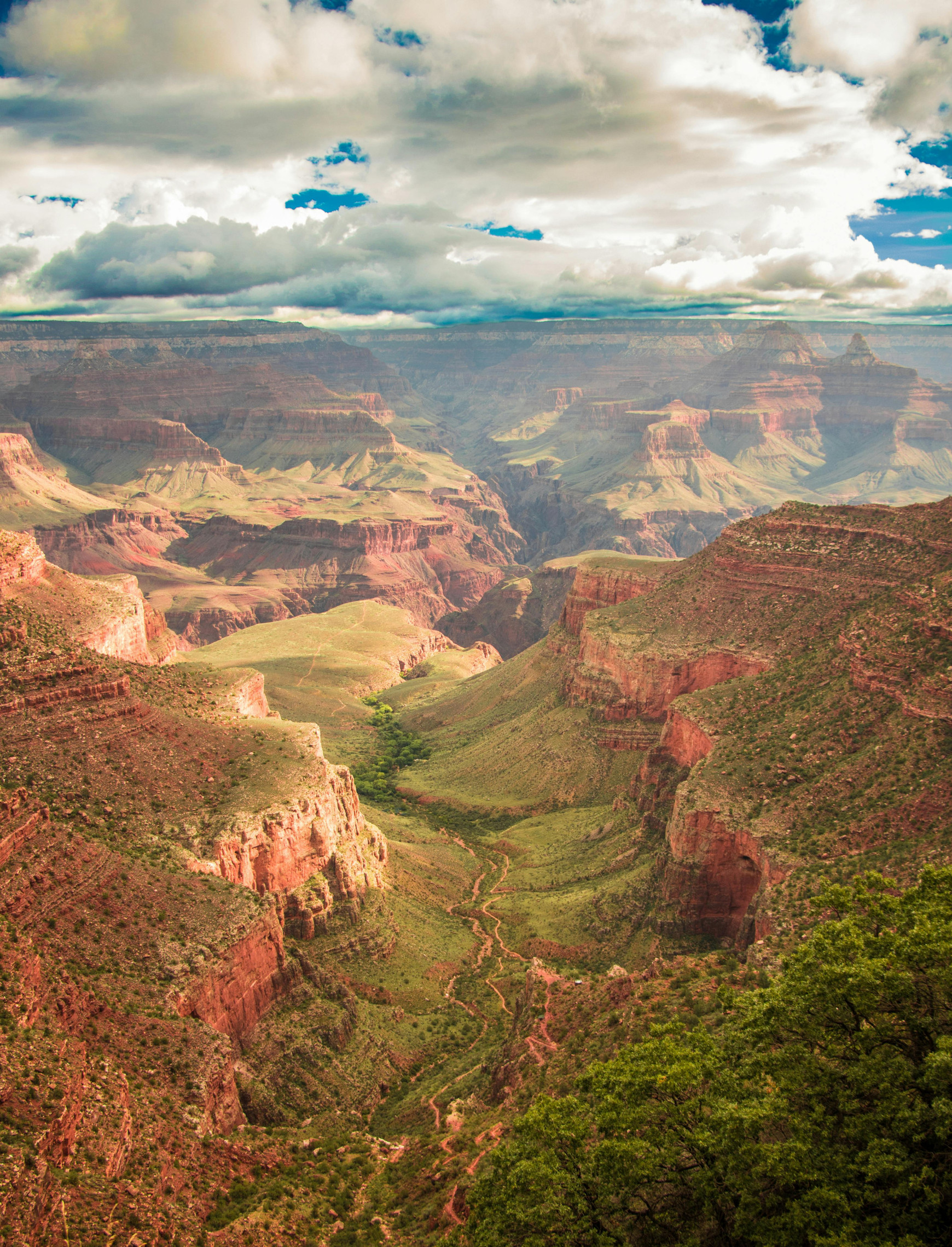 Photo de Lukas Kloeppel - Pexels Suis-je pédologue ?