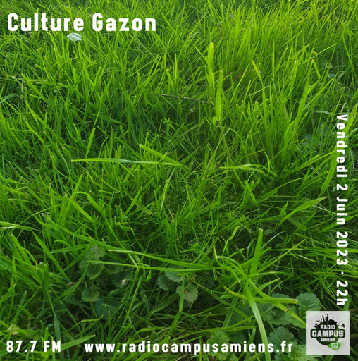 Culture Gazon