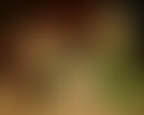 Scène Ouverte // Faim de Musique // 19.12.2022