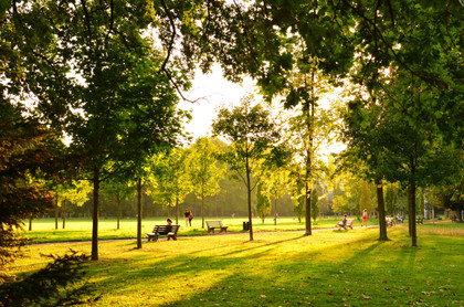 D'où ça vient le parc urbain ?