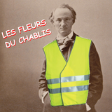 Chablis Hebdo // Les fleurs du Chablis