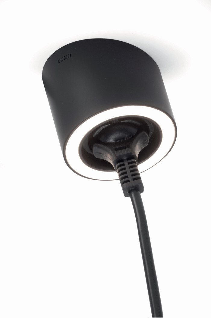 Ring Noir