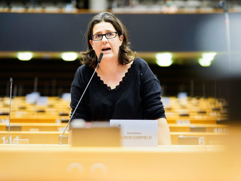 L’ingérence étrangère dans l'UE avec l'eurodéputée Gwendoline Delbos-Corfield