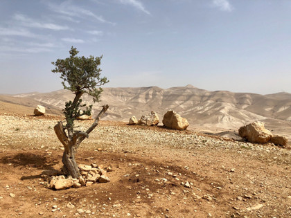 L'aide européenne à la Palestine