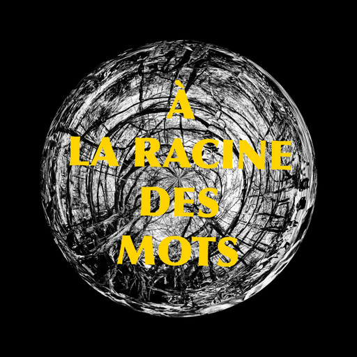 Episode 1 : Cerveau et Ecologie