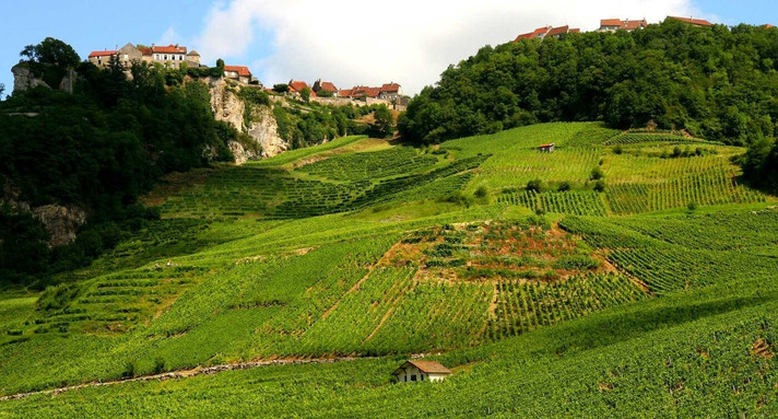 Épisode (Podcast) Vin jaune & cie : le vignoble Jurassien de l'émission Les coudes sur la table