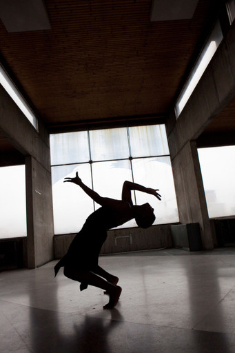 Pièces Détachées : La danse. Les danses.