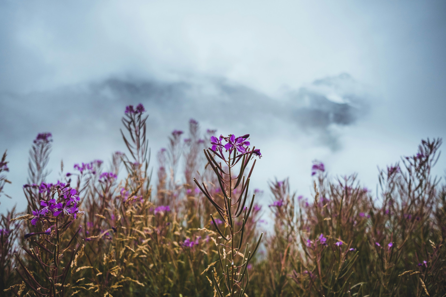 @Robin Billy sur Unsplash Après la glace, le sol