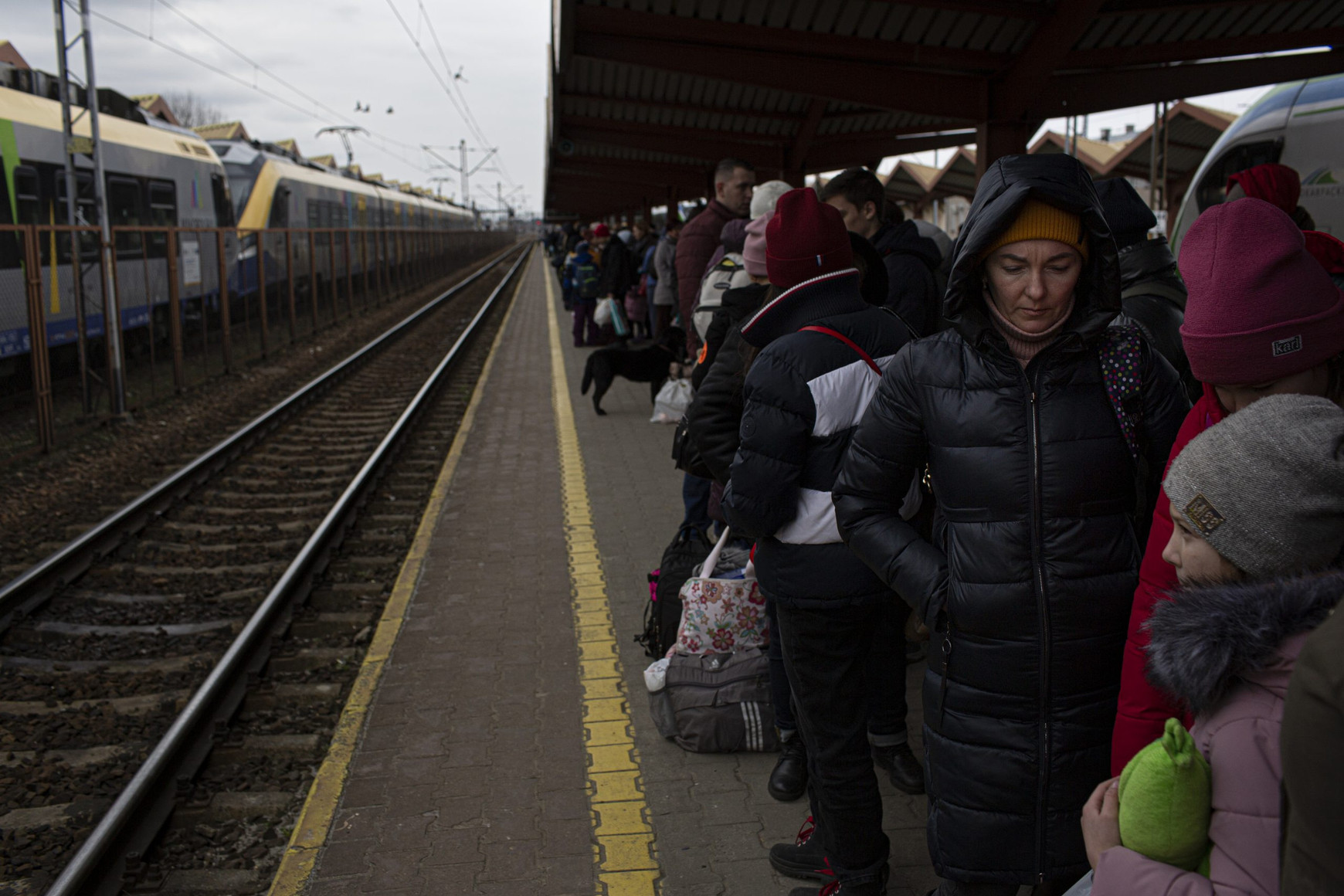 Déjà 2 millions de personnes ont fui l'Ukraine depuis le début de la guerre - EuropaNova