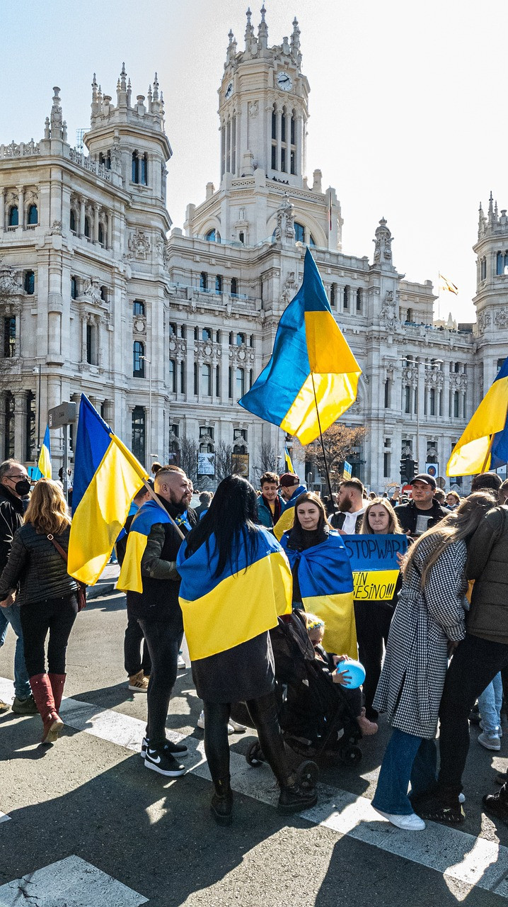 Image par Karl Oss Von Eeja de Pixabay Qu'attendent les ukrainien·nes du sommet de l'UE et de l'Ukraine à Kiev ?