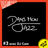 Dans Mon Jazz #3 avec DJ Cam