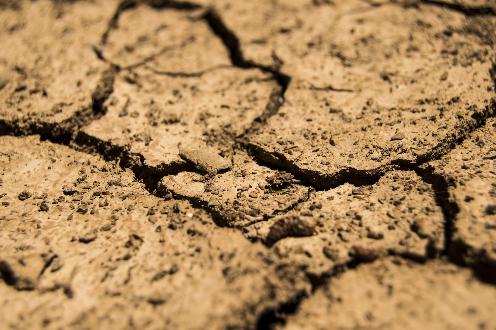 Pixabay Risque de sècheresse : l'Europe se prépare - Willem Maetens