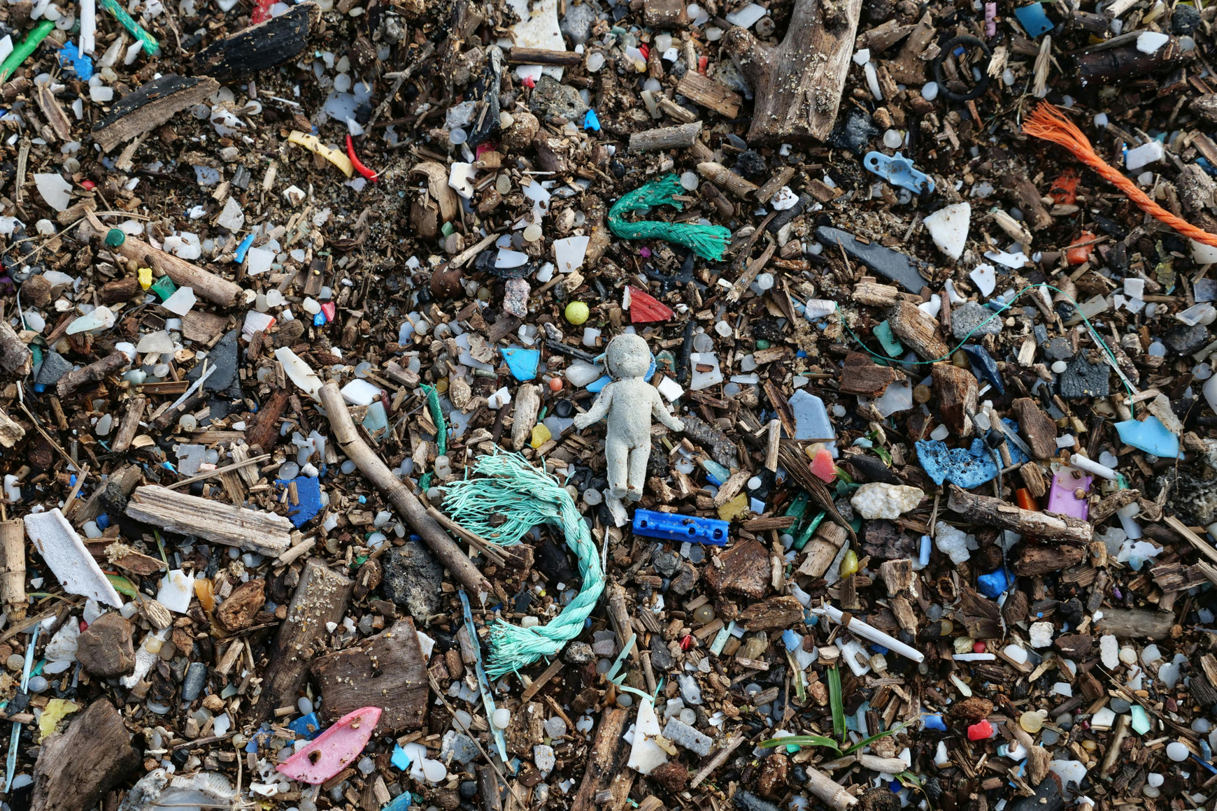 Photo de Sébastien Vincon - Pexels La question des microplastiques - Lucie Lavajo