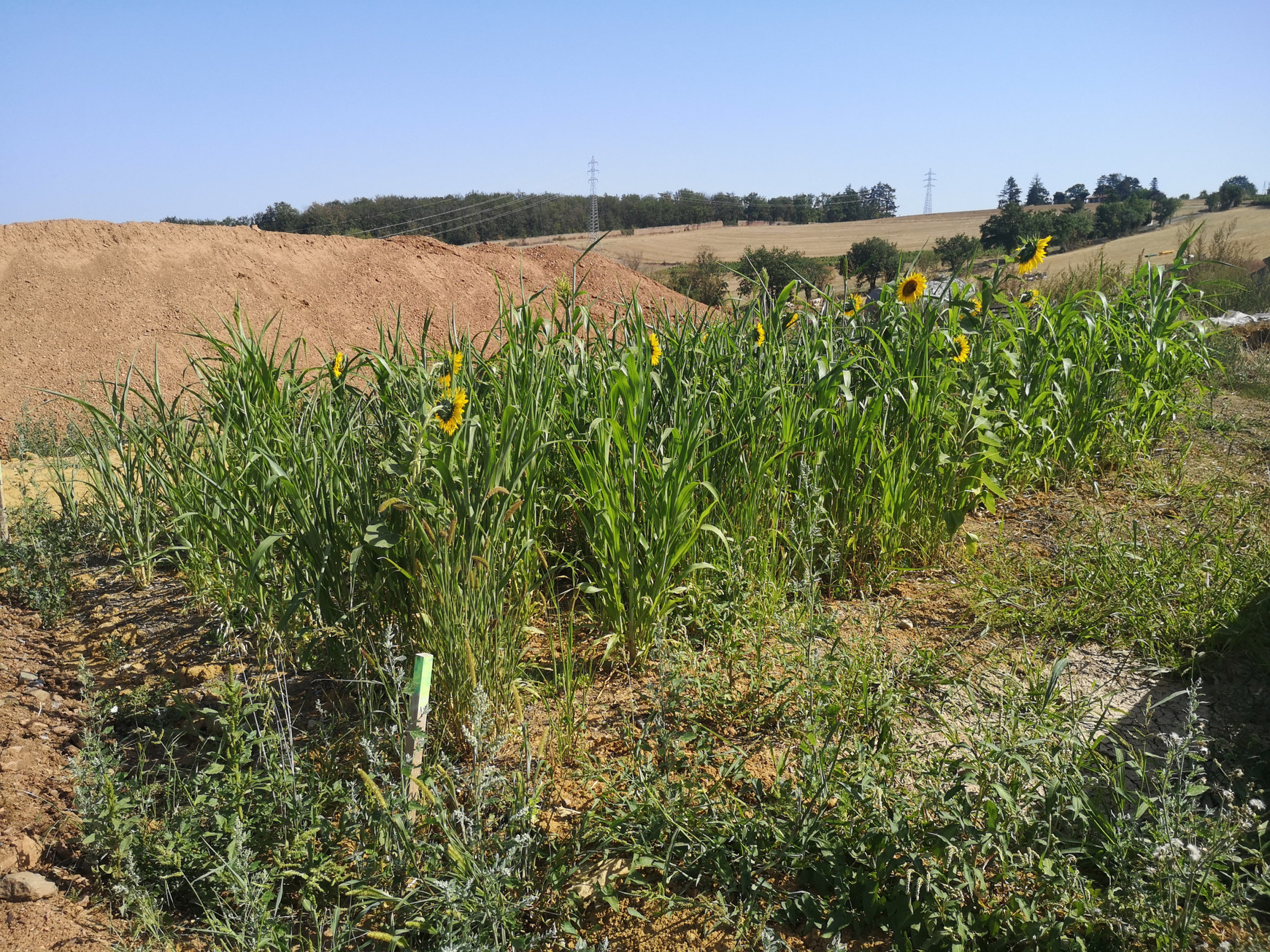 ©Terra Innova Trouver de la terre pour nos espaces verts