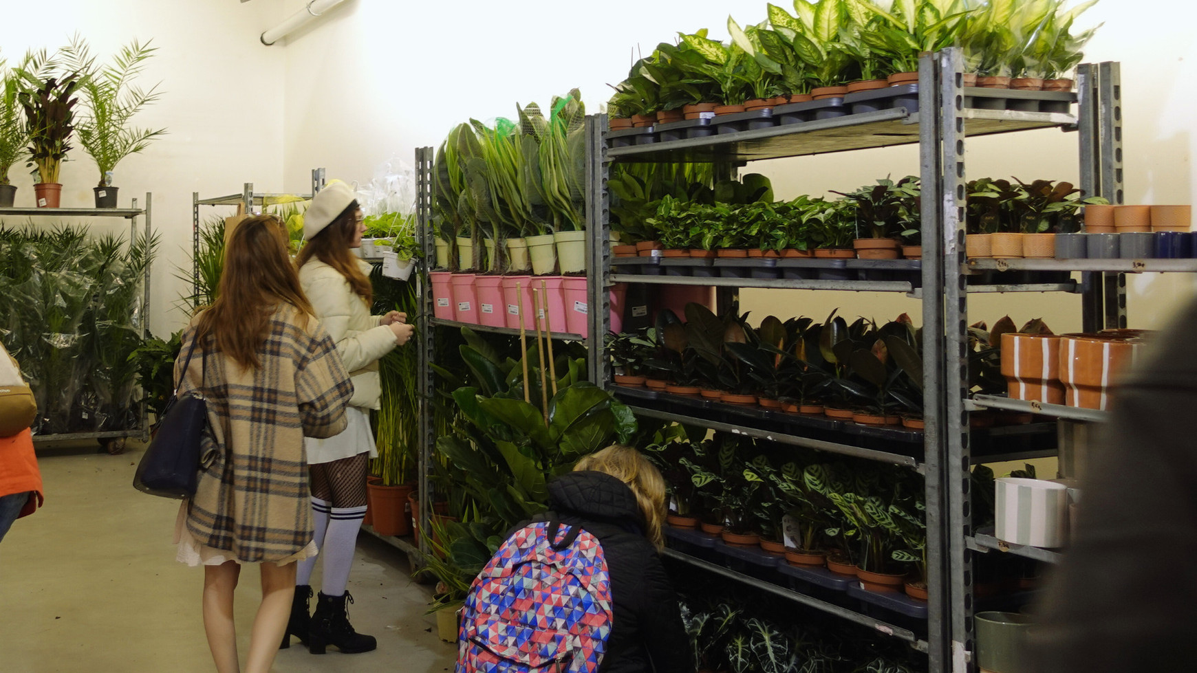 © Hélène Bataille Plantes pour tous : des jardineries éphémères en milieu urbain