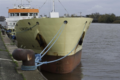 La pollution de la Loire à Nantes, quels risques pour la biodiversité ?