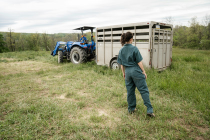 Le Green Deal et la colère des agriculteurs