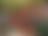 #3 - La Nouvelle Bouquinerie // Le Territoire de l...