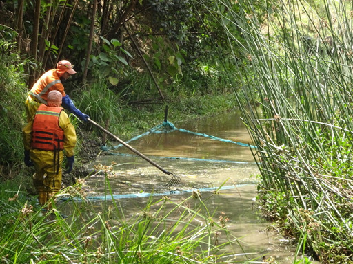 Judiciarisation de la nature en Colombie // 16.11....