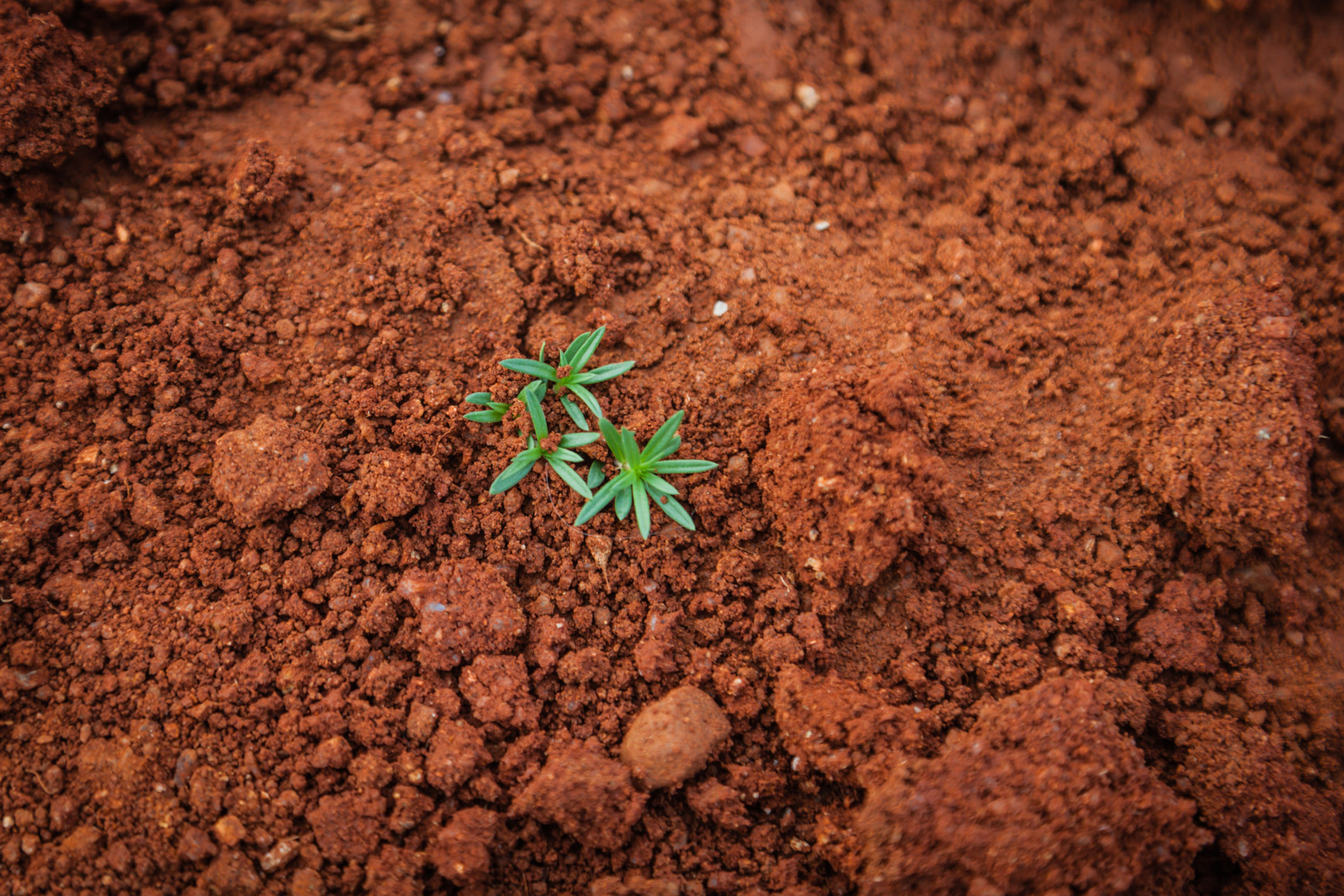 @Paul Mocan / Unsplash L'agroécologie au Sud  