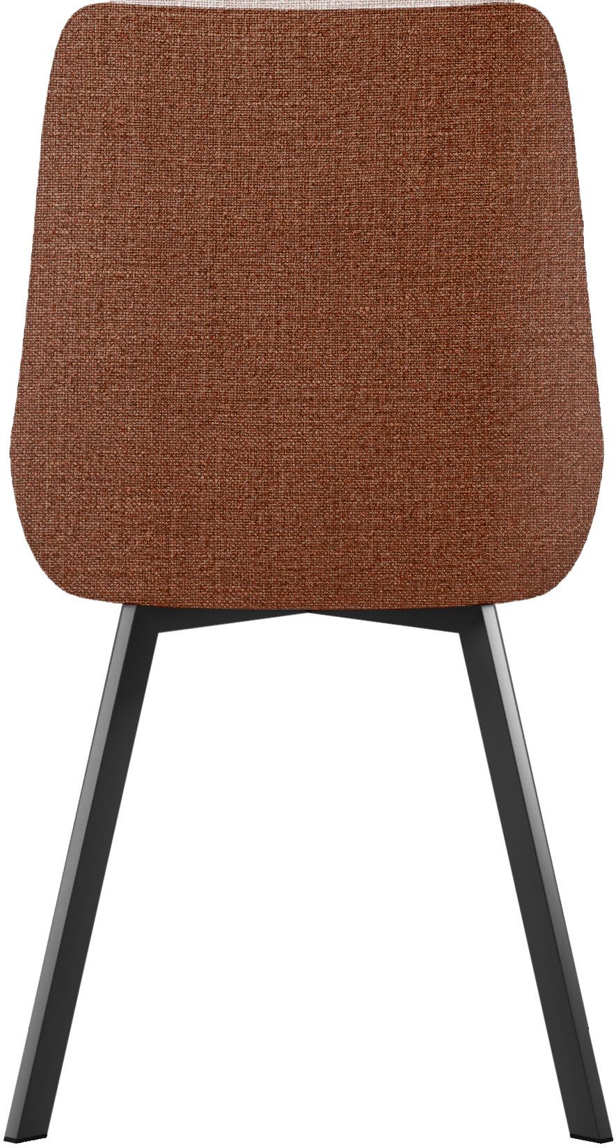 Felix Terracotta
