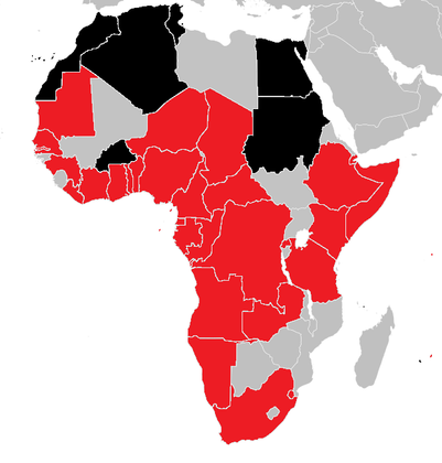 Coronavirus in Africa: a different beast to Ebola?