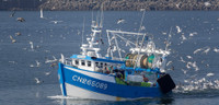 Qu'est-ce qui pêche dans la PCP ? - Enjeux liés à la gestion de la pêche européenne, épisode 1- L'Europe vue d'ici #7