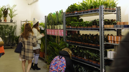 Plantes pour tous : des jardineries éphémères en milieu urbain